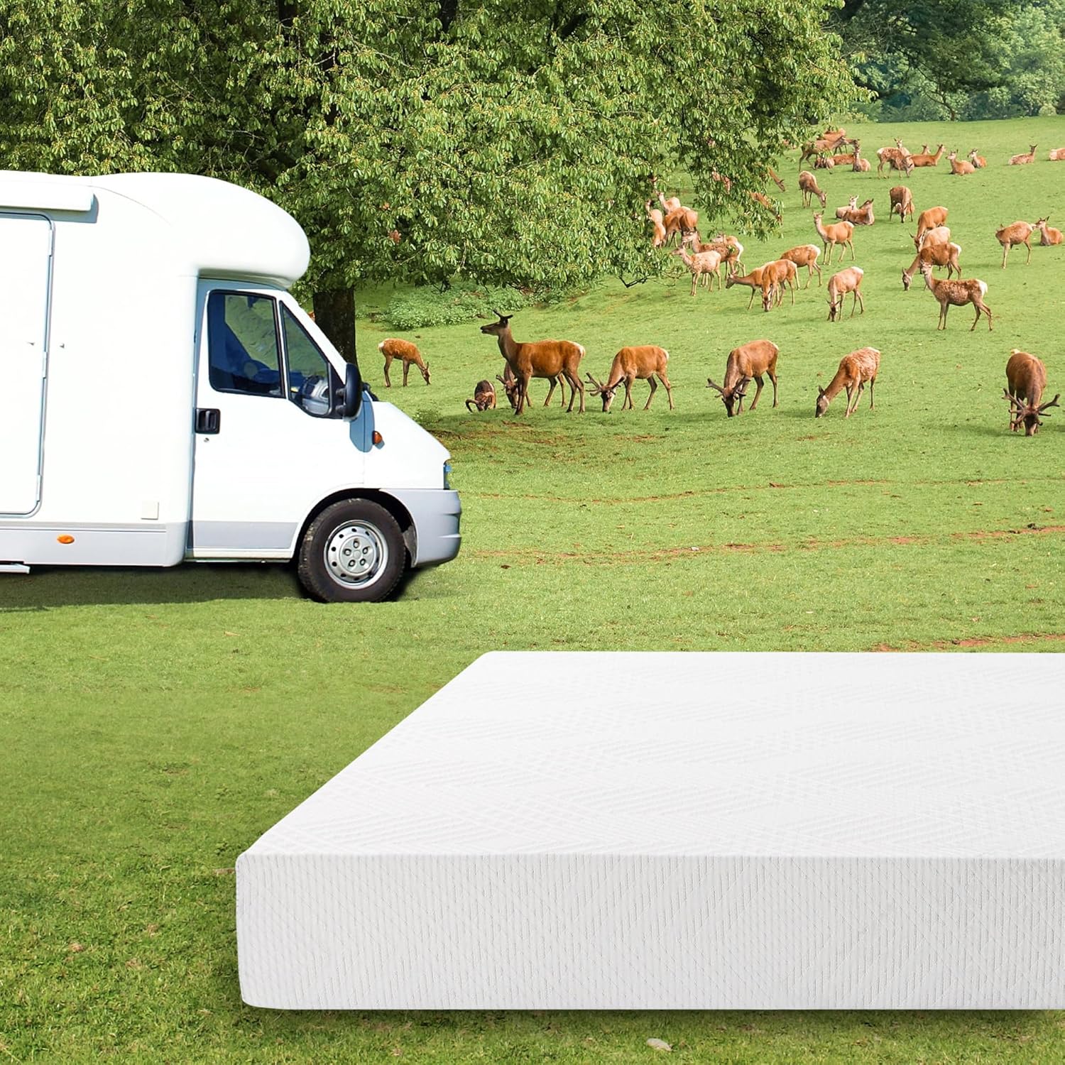 EGO White 8 Inch Short Queen Memory Foam RV Mattress, Cooling Gel Green Tea Mattress for RVs, Campers & Trailers, Bed in a Box, CertiPUR-US Certified, 60